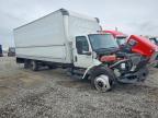 2024 International MV607 BOX Truck