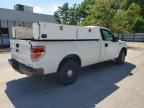 2013 Ford F150