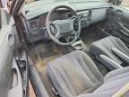 2004 Dodge Dakota SXT