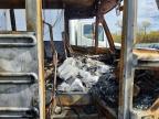 2023 Freigliner 2023 Freightliner Chassis B2B School Bus