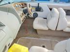 1998 Ziem Boat
