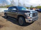 2021 Toyota Tundra 1794 Edition