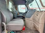 2019 Freightliner Cascadia 113 Semi Truck