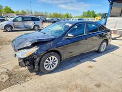2017 Toyota Camry Hybrid le for sale in Fort Wayne, IN