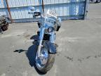 2025 Harley-Davidson Flfb