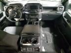 2025 Ford F150 STX