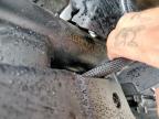 2026 Cf Moto 675SS