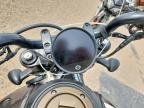 2023 Harley-Davidson RH1250 S