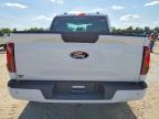 2025 Ford F150 STX
