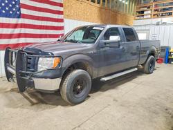 Salvage cars for sale from Copart Anchorage, AK: 2010 Ford F150 Supercrew