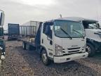 2019 Isuzu NPR HD