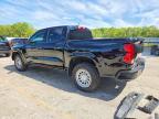 2023 Chev Colorado