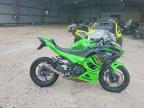 2024 Kawasaki EX500 A
