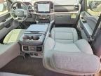 2025 Ford F150 XLT
