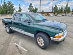 2001 Dodge Dakota Quattro