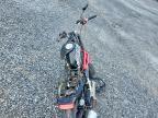 2020 Vitacci Scooter