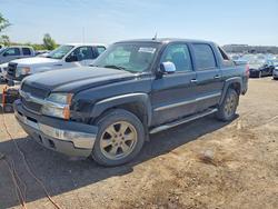 Chevrolet Avalanche k1500 salvage cars for sale: 2005 Chevrolet Avalanche K1500
