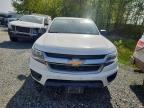 2019 Chev Colorado