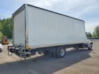 2023 International MV607 BOX Truck