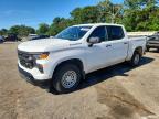 2023 Chevrolet Silverado C1500