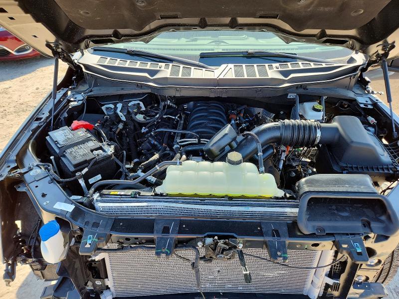 2025 Ford F150 XLT