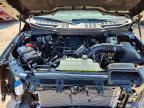 2025 Ford F150 XLT