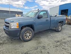 Salvage trucks for sale at Elmsdale, NS auction: 2011 Chevrolet Silverado C1500
