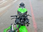 2025 Kawasaki Ninja ZX 10R