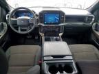 2024 Ford F150 STX
