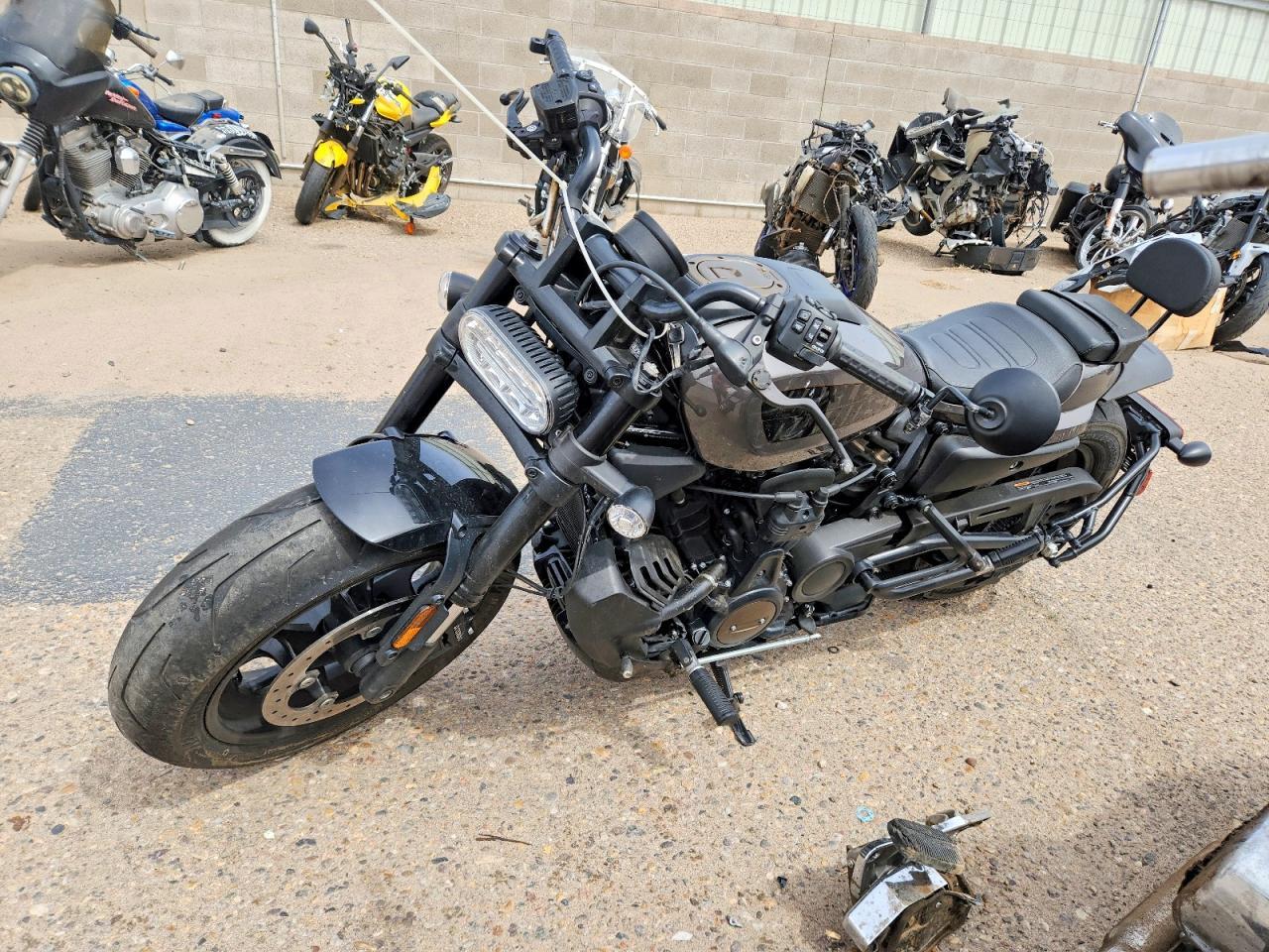 2023 Harley-Davidson RH1250 S