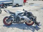 2025 Kawasaki ZX636 K