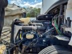 2019 Freightliner Cascadia 126 Semi Truck