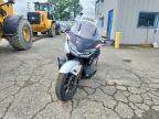 2024 Honda GL1800 D