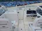 2012 Everglades Trident