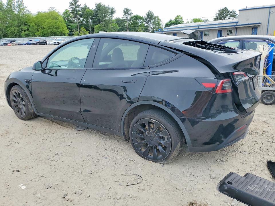 2025 Tesla Model y