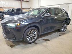 Lexus salvage cars for sale: 2026 Lexus Nx 350