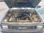 1987 Isuzu PUP