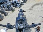 2025 Harley-Davidson Fxbb