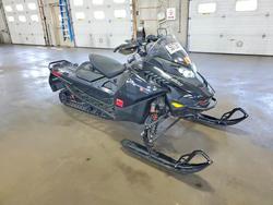 Can-Am Renegade Vehiculos salvage en venta: 2023 Can-Am Renegade