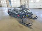2023 Can-Am Renegade