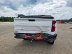 2024 Chevrolet Silverado C1500