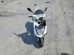 2023 Yongfu MS