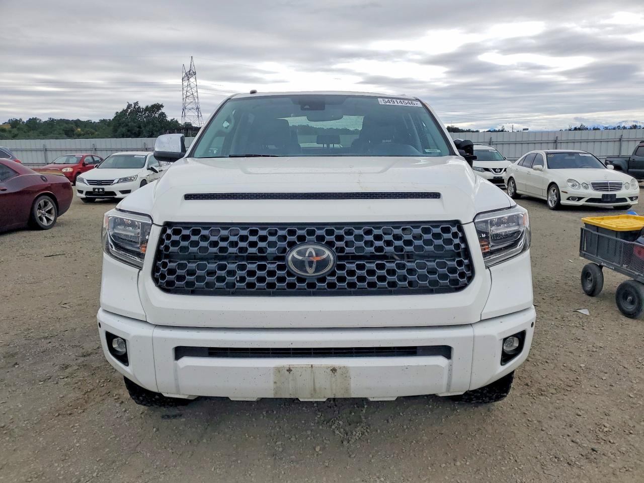 2019 Toyota Tundra Platinum