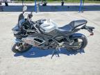 2026 Kawasaki EX650 P