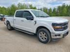 2024 Ford F150 XLT