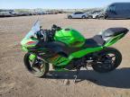 2024 Kawasaki EX500 H