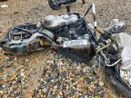 2021 Harley-Davidson Fxst