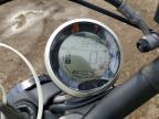 2022 Ducati Scrambler Desert Sled