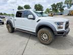 2019 Ford F150 Raptor