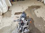 2007 Harley-Davidson XL883 C